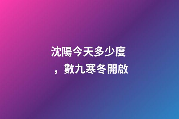 沈陽今天多少度，數九寒冬開啟-第1張-觀點-玄機派